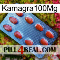Kamagra100Mg 06
